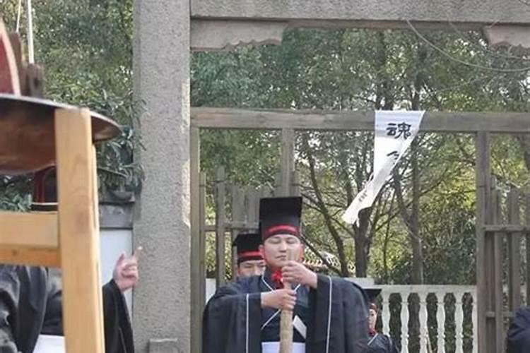 梦到很多大狗小狗预示着什么意思