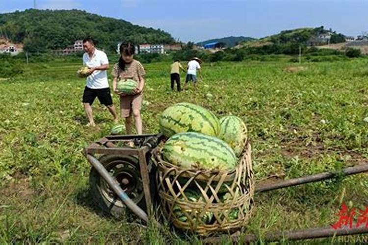 人死后“还阳”是什么意思？