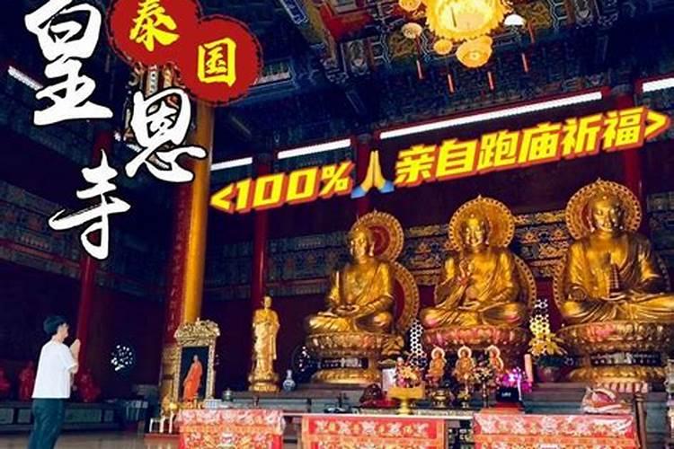 梦到蟒蛇是不是怀孕了