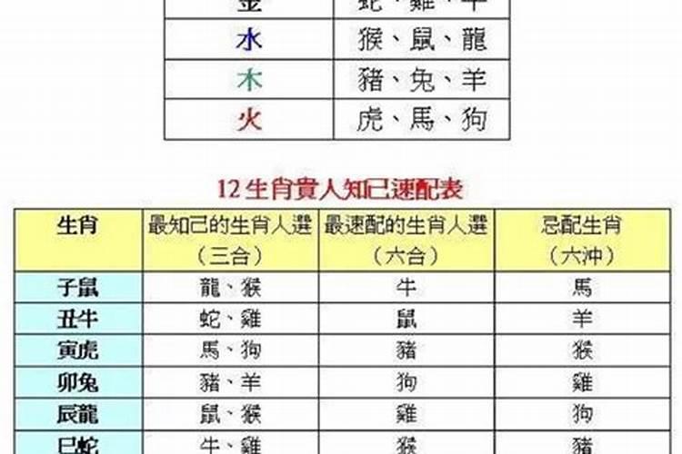 属相相同的人真的不能在一起吗？