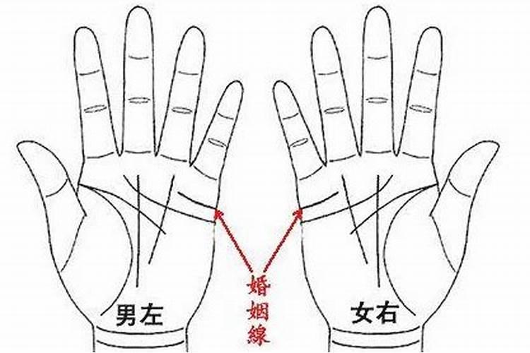 婚姻宫在哪个位置 婚姻宫如何分析