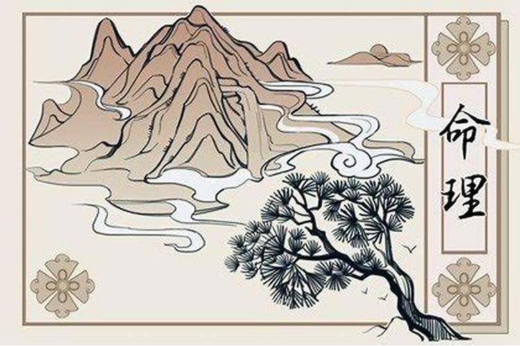 命局是什么意思