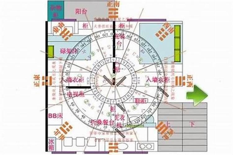 2025年冬月蛇宝宝和腊月蛇宝宝哪个运势更好