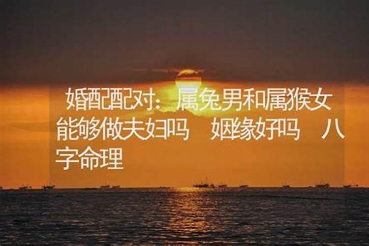 ...81年腊月,我属虎86年6月 我们想要个属龙的宝宝好不好 啊？几月...