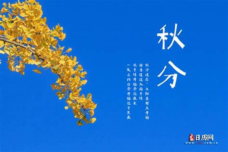 什么是老八字