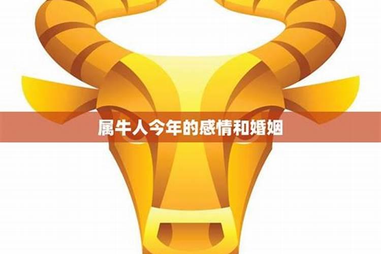 海南大小洞天景点介绍