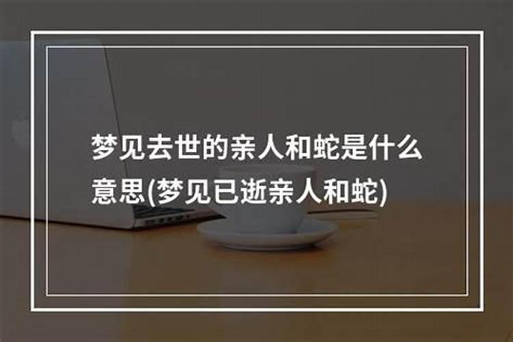 亥 指的是什么属相