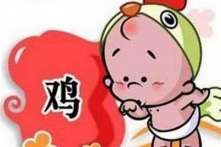属兔男人和属鸡女人相配吗