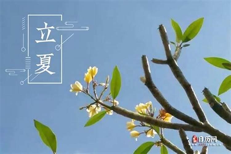 夏至的民间风俗你知道吗？
