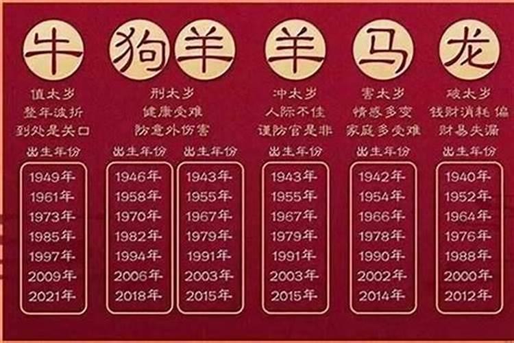 8月蛇命运如何