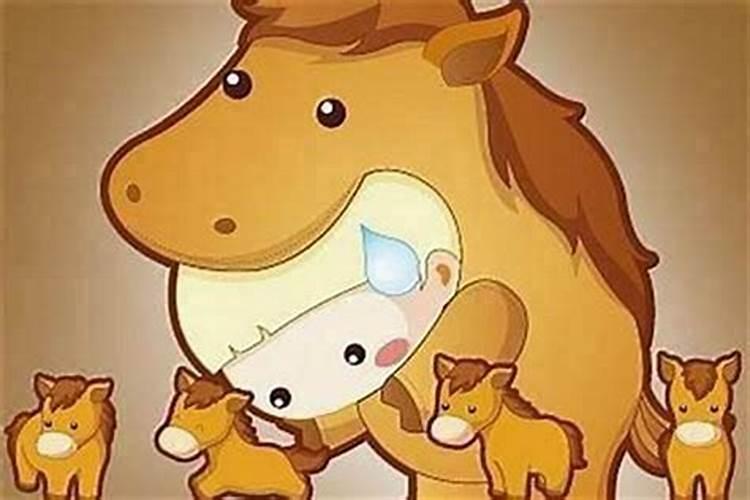 女猪和男兔是否相配 婚姻如何