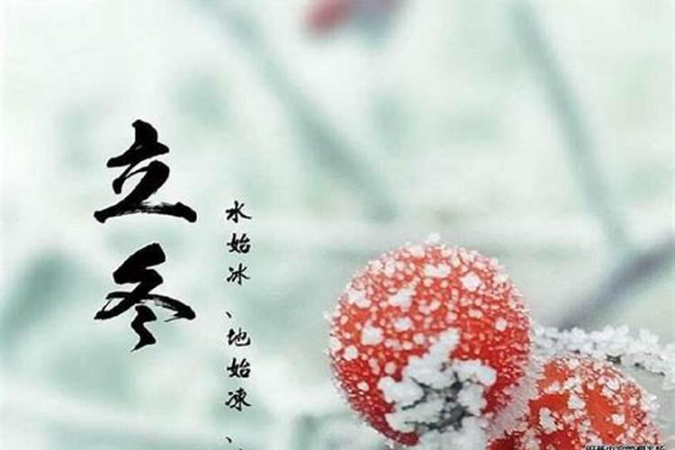 小度春是什么意思呀