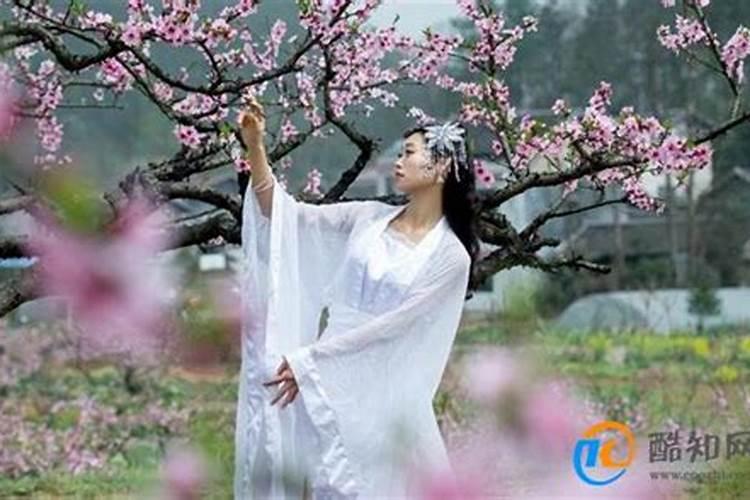 桃花运指的是什么 桃花运是什么意思