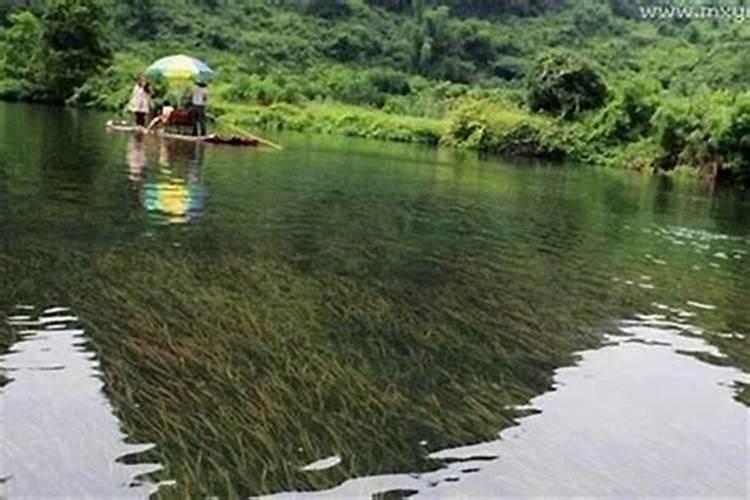梦见渠水外溢