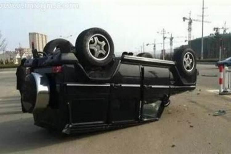 十二生肖哪个是文人？