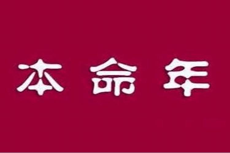 67年属羊人2025年运势