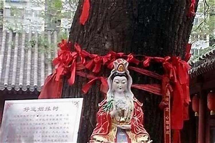 青岛哪里有求姻缘的地方,青岛湛山寺求姻缘