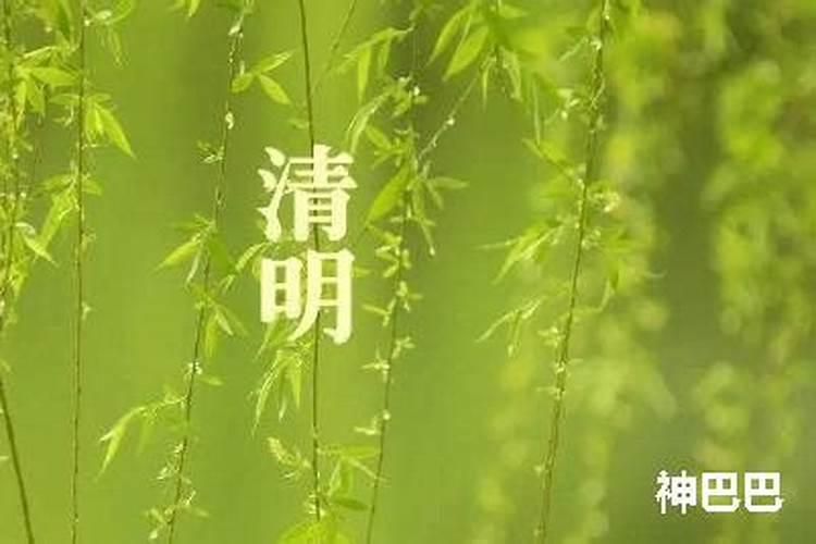 清明节是农历的哪一天 清明节是哪天
