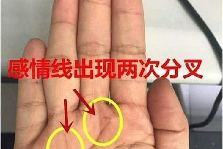 怎么看八字硬不硬
