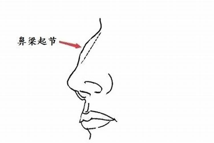 看面相图解男人鼻子起节图片 鼻子起节的男人婚姻不顺？