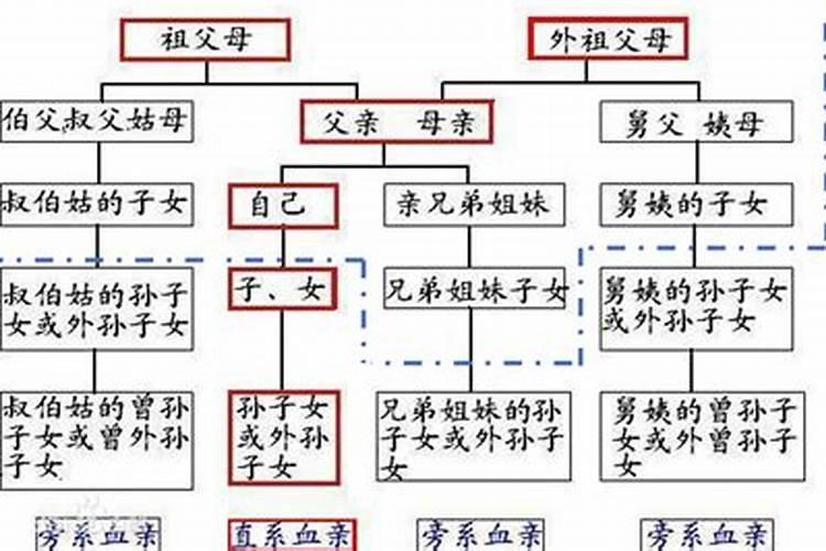 潍坊哪里葡萄批发价格最低