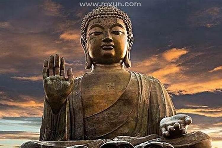 你梦到过怎样宏大的场景？