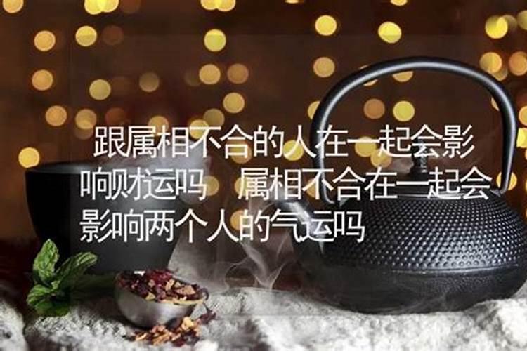 属相不合会不会影响财运,属相相冲的人在一起是不是会影响运势啊？