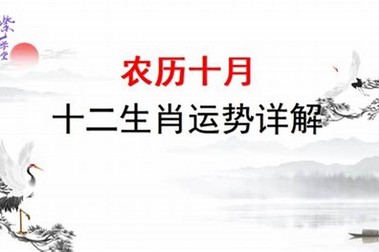 未须十日便中秋,争看清光满。