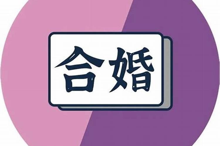 梦见荷叶是什么预兆