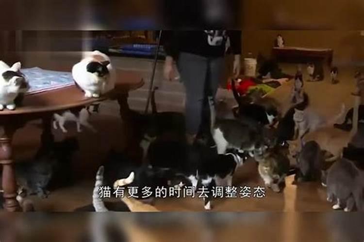离婚后梦见前夫和婆婆是什么意思