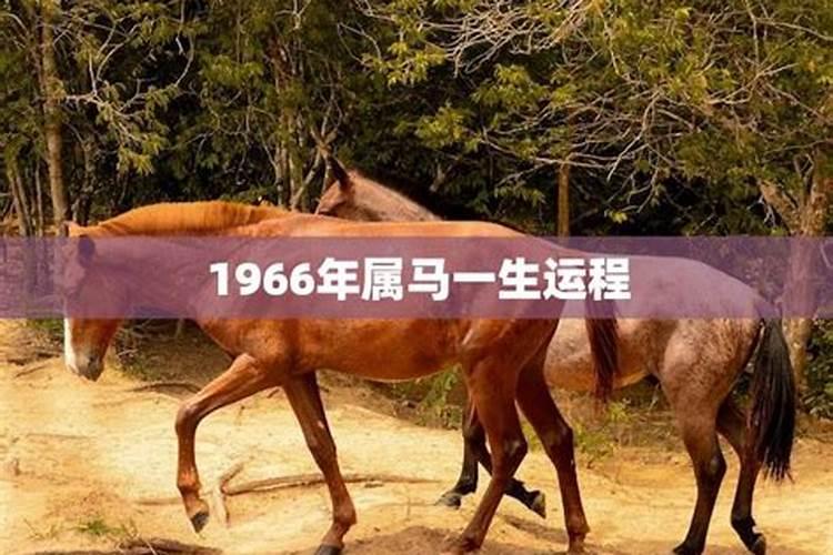 看坟地记住一句口诀 找坟墓最简单的方法