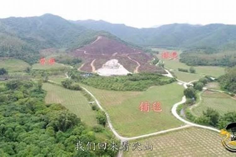 龙旺发富贵,穴真子孙兴的意思