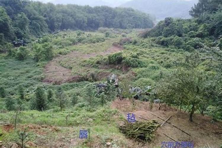 什么坟地风水好？