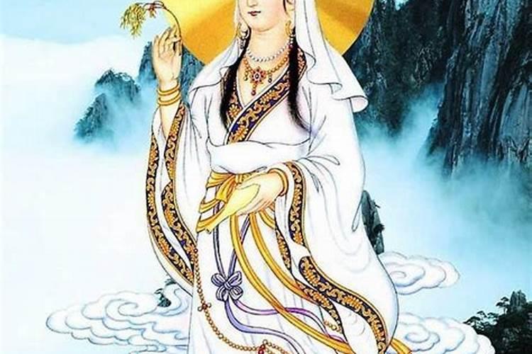 属猪的今年运势如何
