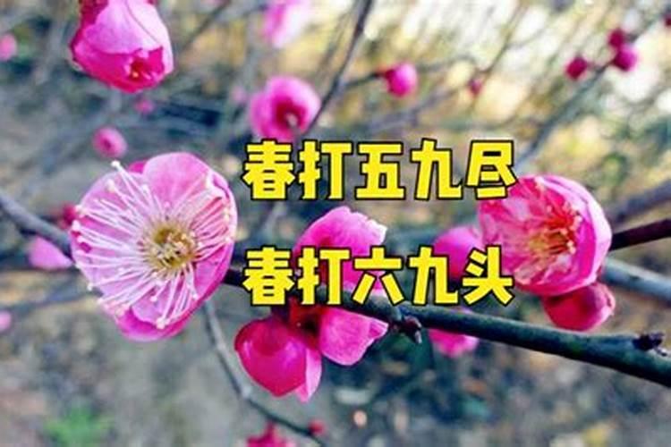 立春有什么风俗活动