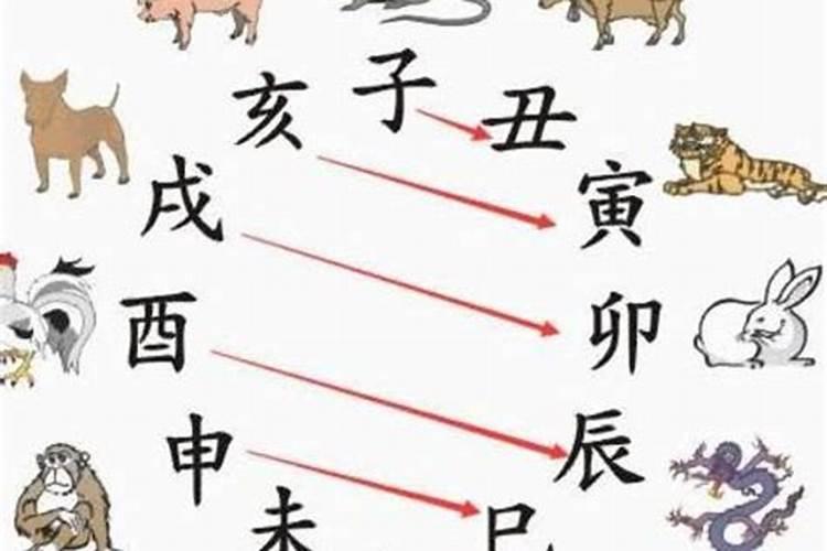 1975年男农历5月29日卬时出生的命运如何婚姻？