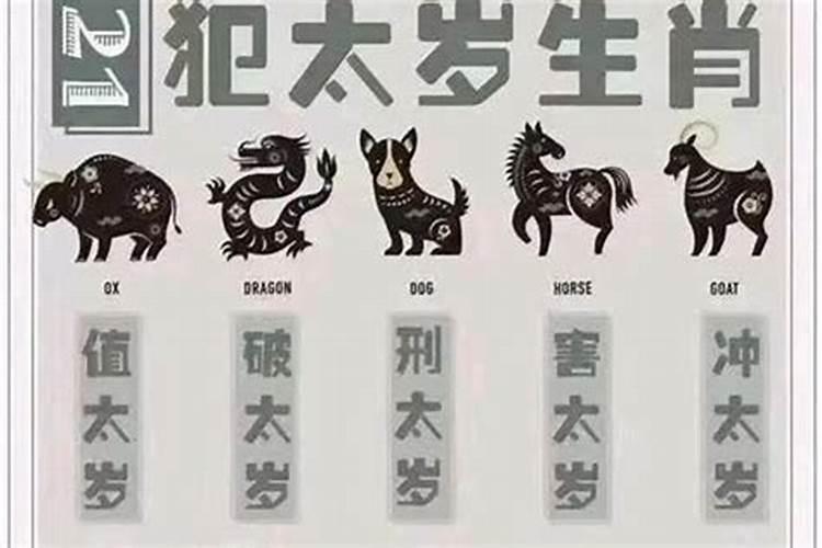 查喜用神最正确的软件