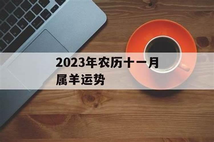 单身者招桃花、旺姻缘的最佳方法