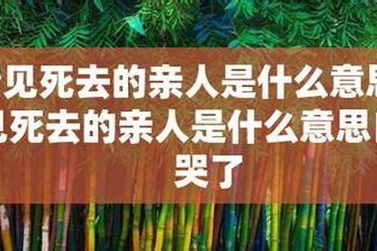 杭州看灯会地点