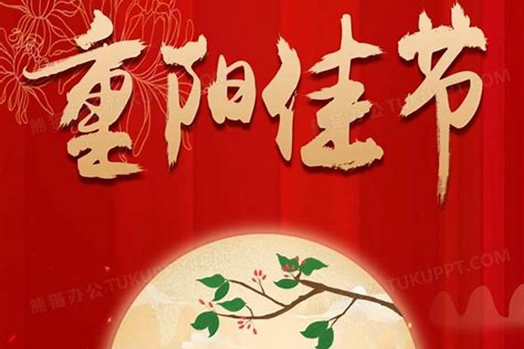 1995年1月15是属什么的？什么星座？阳历。