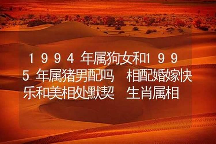 属狗女2025年三大喜事