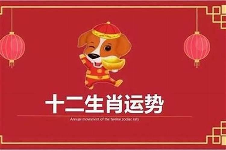 70年属狗的哪年走大运
