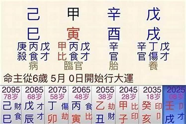 1991年生肖