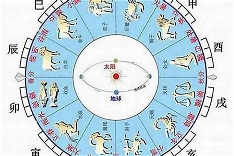 八月十五是什么生肖