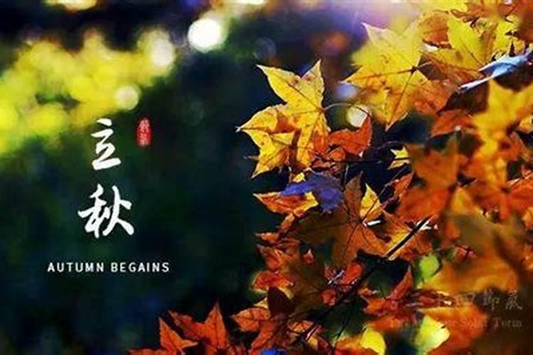 梦见老虎狮子豹子是什么意思？