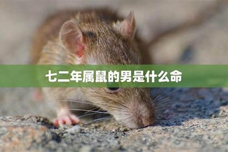 生在农历二月十五的人的运势如何