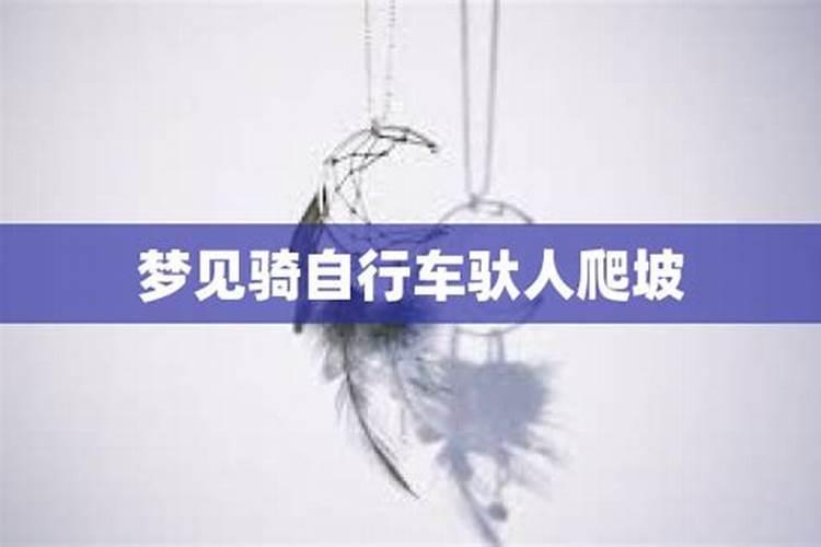 壬子日婚姻