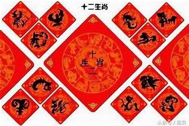 猴遇鼠为什么有福气男92猴女96鼠八字合吗