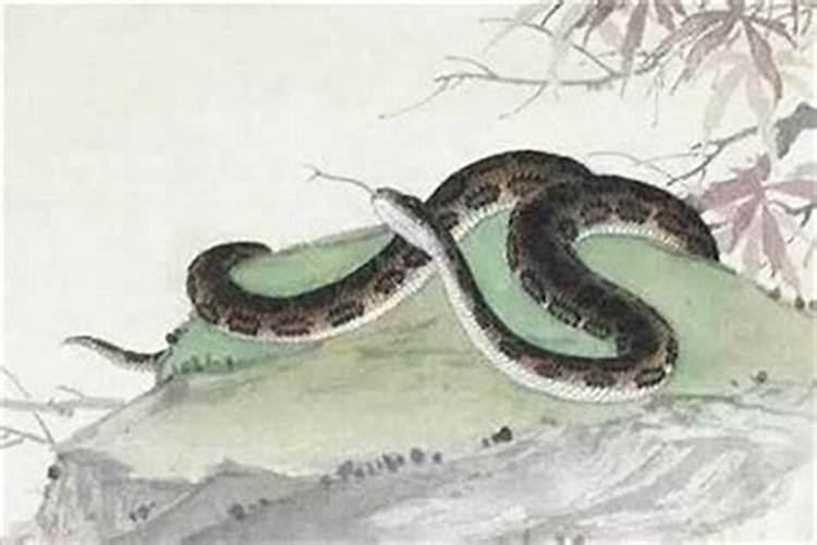 八字怎么看什么命