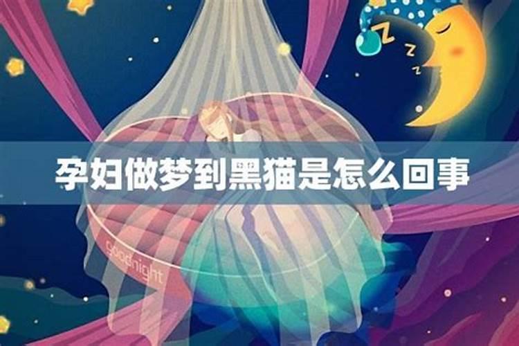梦见猫是不是不好的预兆